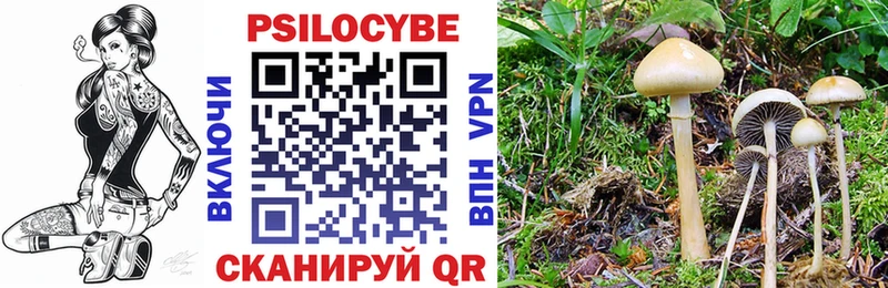 где найти   ОМГ ОМГ ONION  Псилоцибиновые грибы Magic Shrooms  мориарти наркотические препараты  Черепаново 